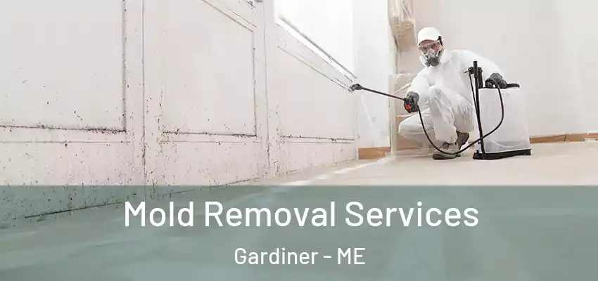  Mold Removal Services Gardiner - ME