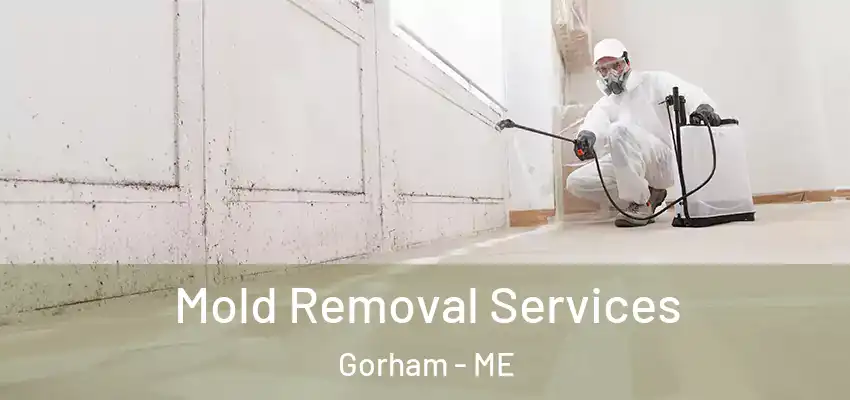 Mold Removal Services Gorham - ME