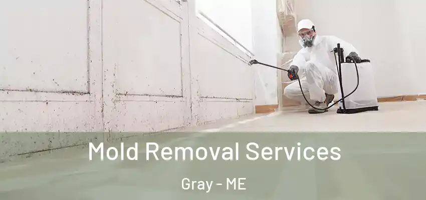 Mold Removal Services Gray - ME