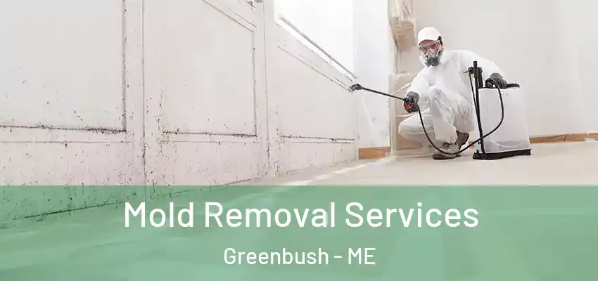 Mold Removal Services Greenbush - ME