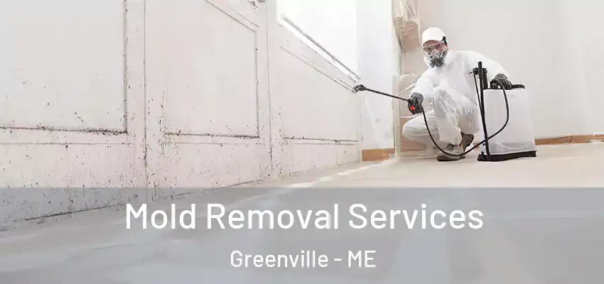 Mold Removal Services Greenville - ME