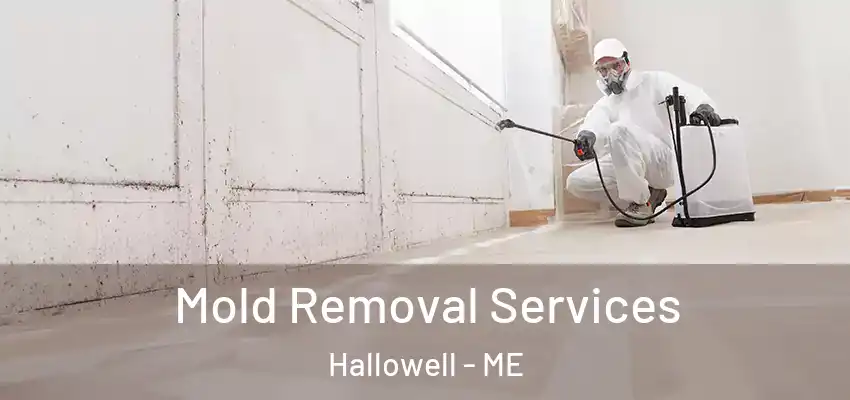  Mold Removal Services Hallowell - ME