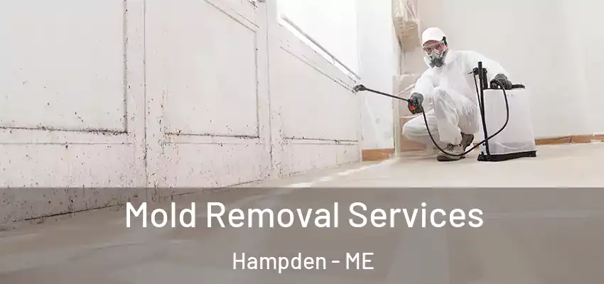  Mold Removal Services Hampden - ME