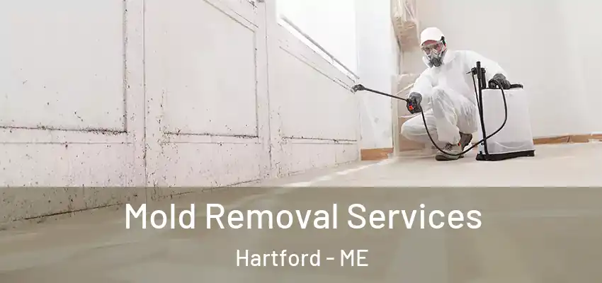  Mold Removal Services Hartford - ME