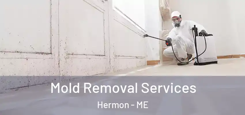  Mold Removal Services Hermon - ME