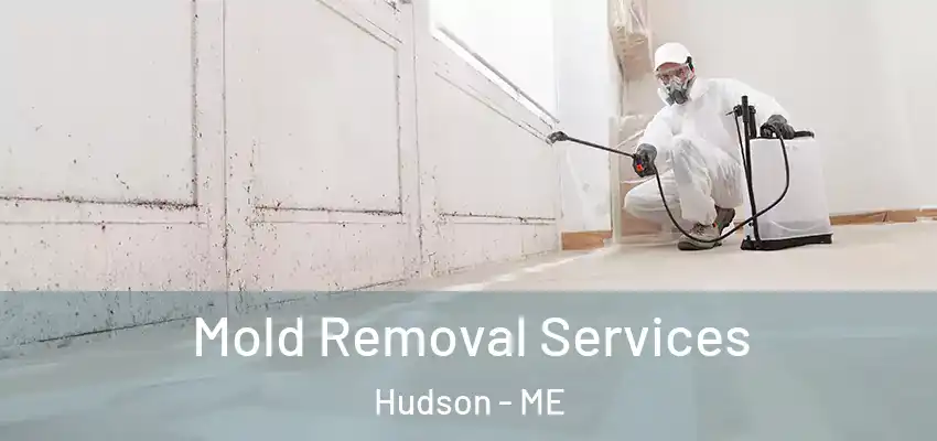  Mold Removal Services Hudson - ME