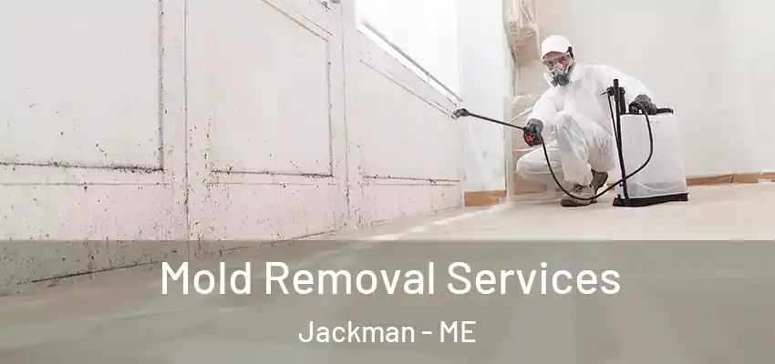  Mold Removal Services Jackman - ME
