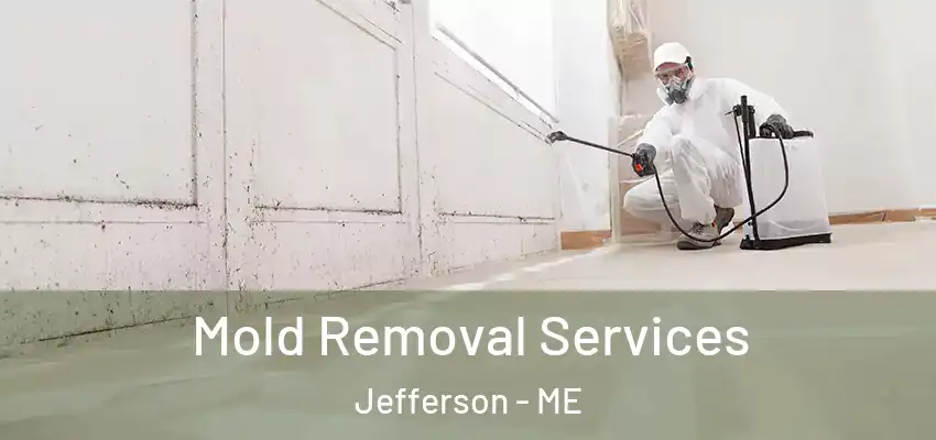  Mold Removal Services Jefferson - ME