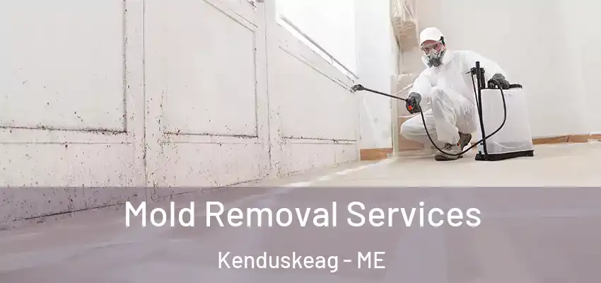 Mold Removal Services Kenduskeag - ME