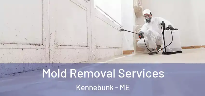  Mold Removal Services Kennebunk - ME
