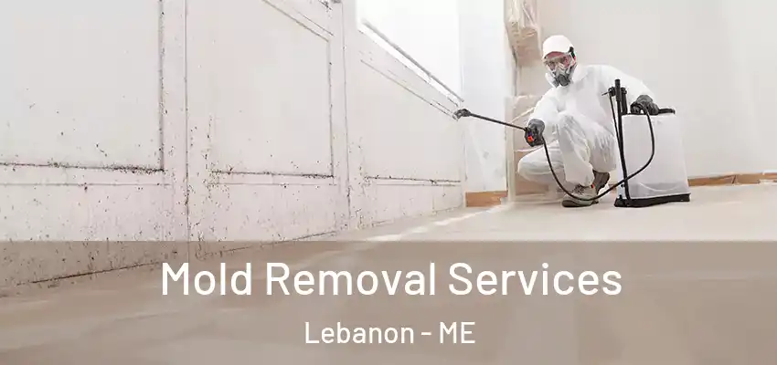 Mold Removal Services Lebanon - ME