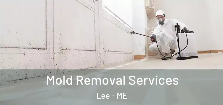  Mold Removal Services Lee - ME