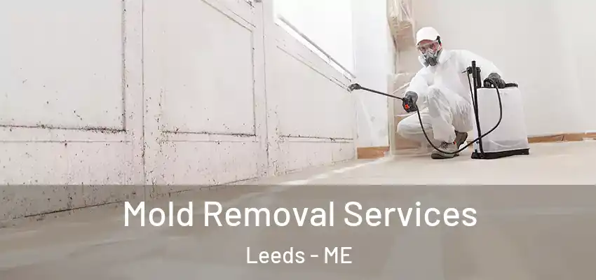 Mold Removal Services Leeds - ME