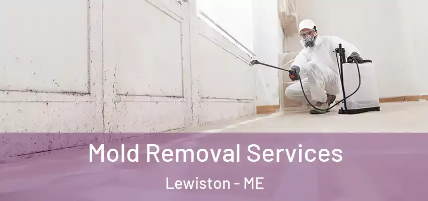 Mold Removal Services Lewiston - ME