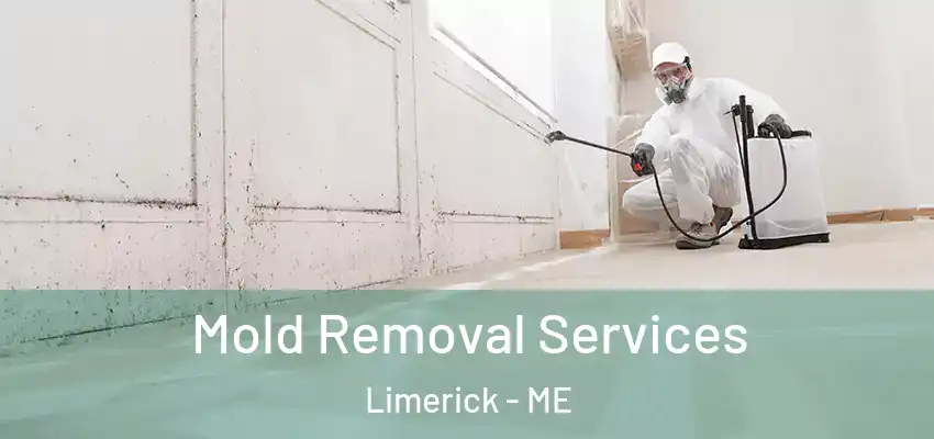 Mold Removal Services Limerick - ME
