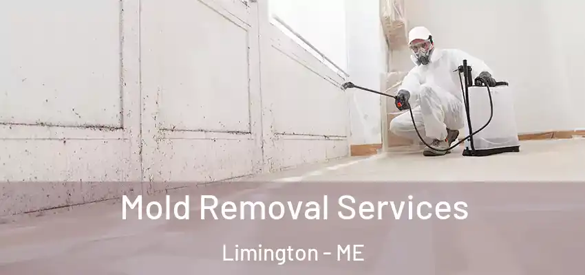 Mold Removal Services Limington - ME