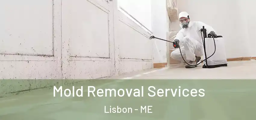  Mold Removal Services Lisbon - ME