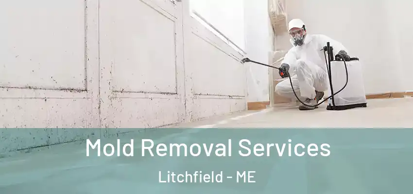  Mold Removal Services Litchfield - ME