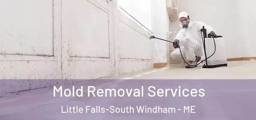 Mold Removal Services Little Falls-South Windham - ME