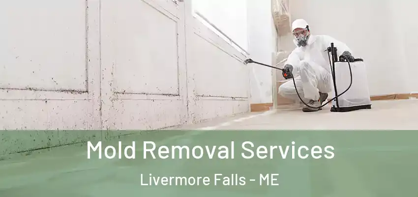  Mold Removal Services Livermore Falls - ME