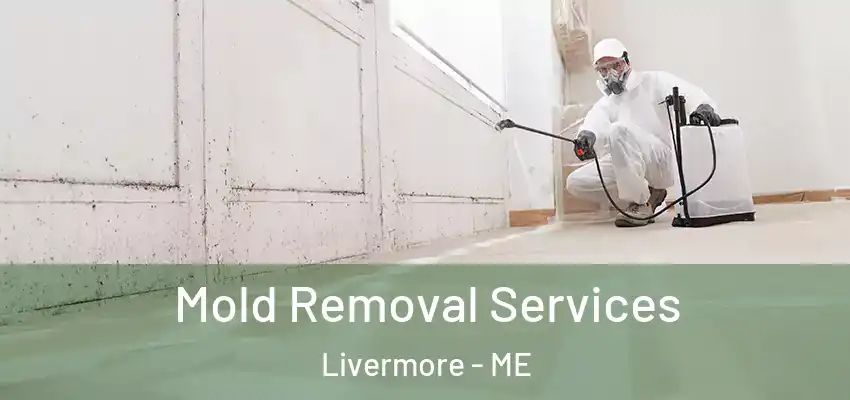  Mold Removal Services Livermore - ME