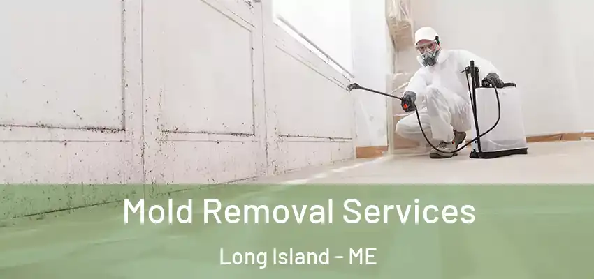  Mold Removal Services Long Island - ME