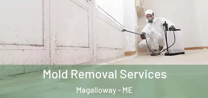  Mold Removal Services Magalloway - ME