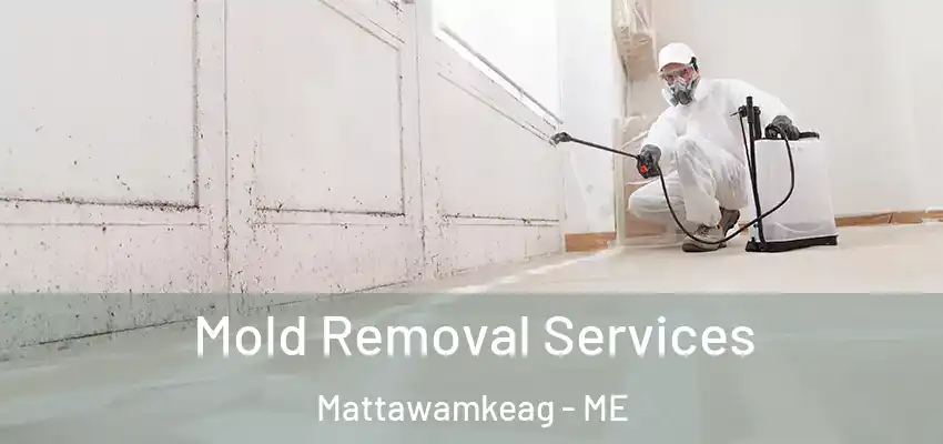 Mold Removal Services Mattawamkeag - ME