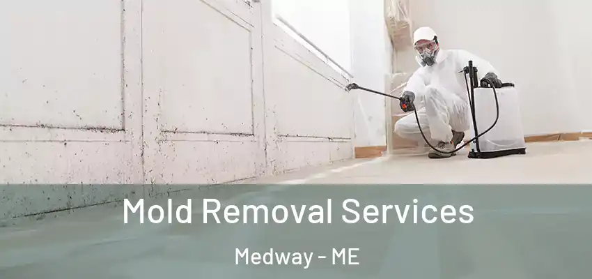  Mold Removal Services Medway - ME