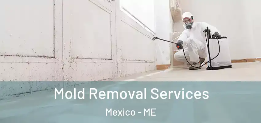  Mold Removal Services Mexico - ME