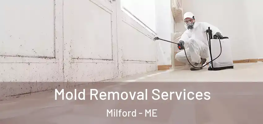 Mold Removal Services Milford - ME