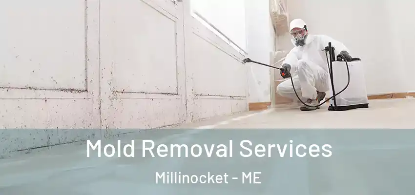  Mold Removal Services Millinocket - ME