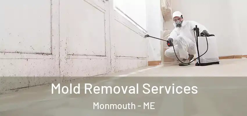 Mold Removal Services Monmouth - ME