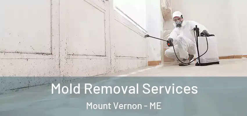 Mold Removal Services Mount Vernon - ME