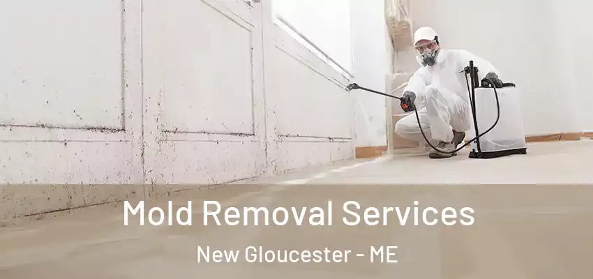  Mold Removal Services New Gloucester - ME