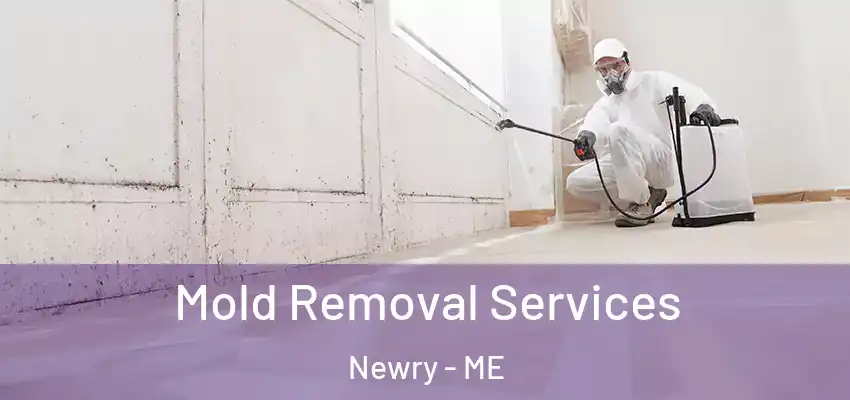 Mold Removal Services Newry - ME