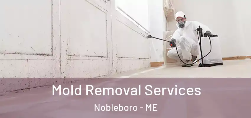 Mold Removal Services Nobleboro - ME