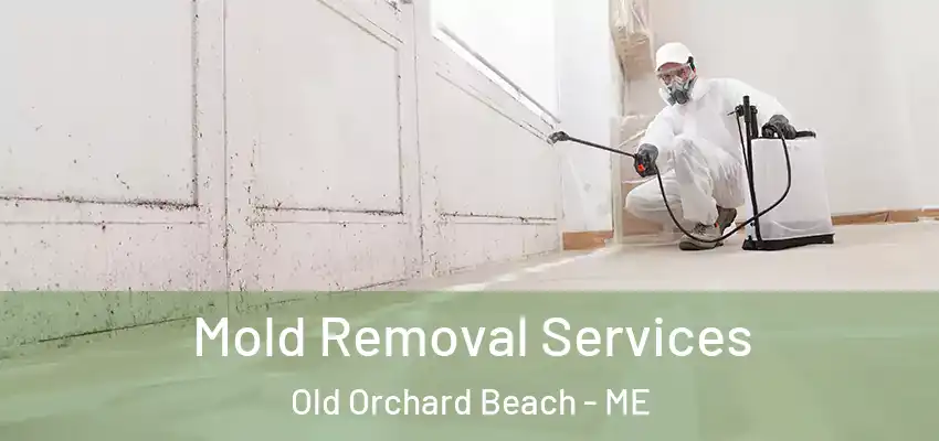  Mold Removal Services Old Orchard Beach - ME