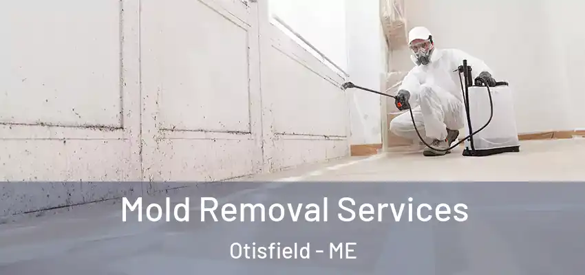 Mold Removal Services Otisfield - ME
