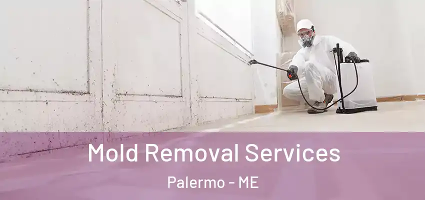  Mold Removal Services Palermo - ME
