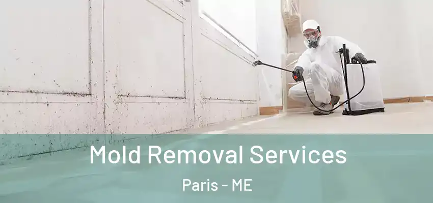  Mold Removal Services Paris - ME