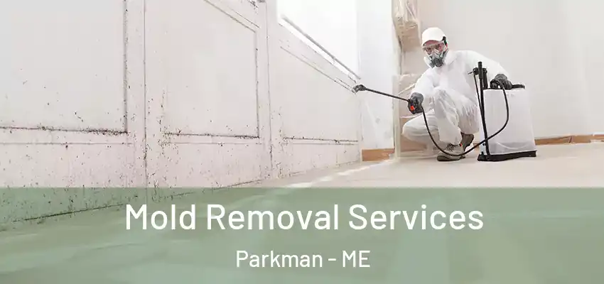  Mold Removal Services Parkman - ME
