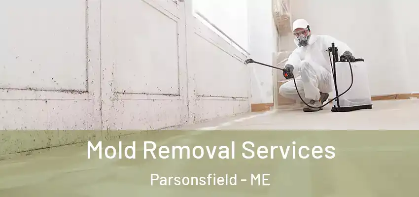 Mold Removal Services Parsonsfield - ME
