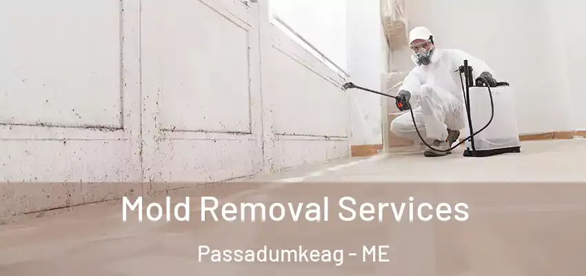 Mold Removal Services Passadumkeag - ME