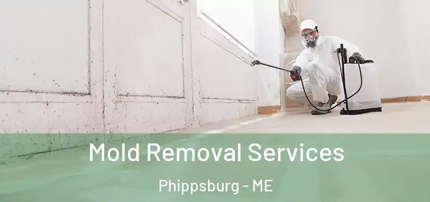 Mold Removal Services Phippsburg - ME