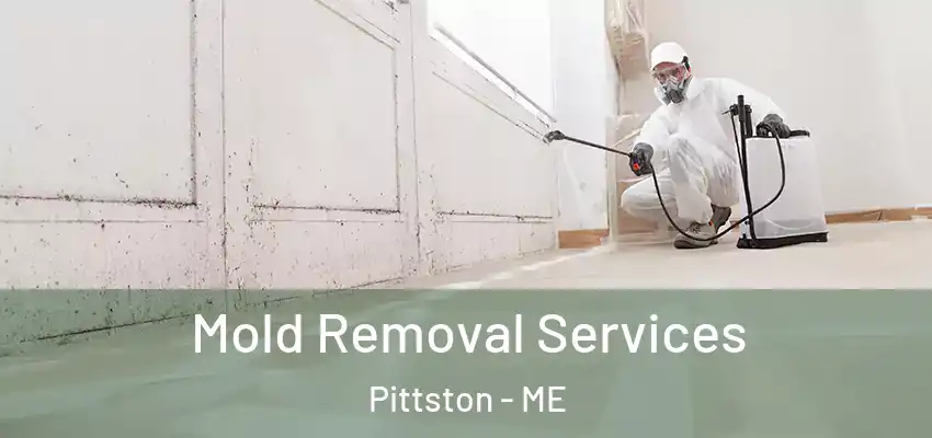 Mold Removal Services Pittston - ME