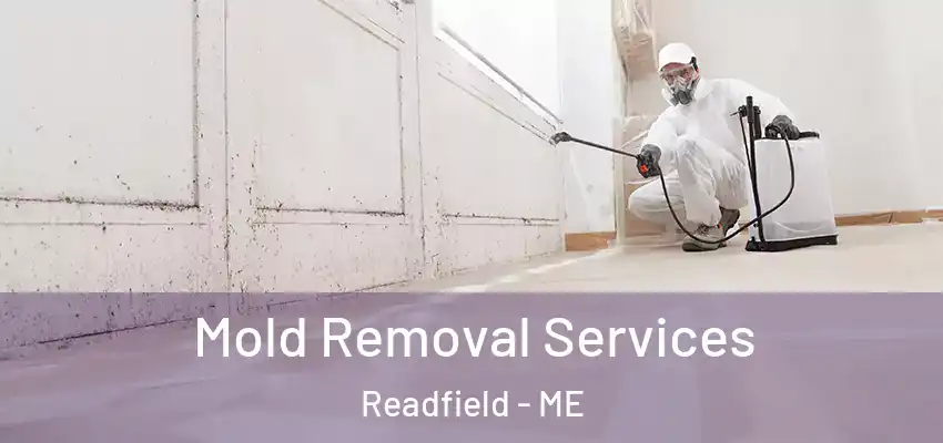  Mold Removal Services Readfield - ME