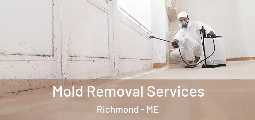  Mold Removal Services Richmond - ME