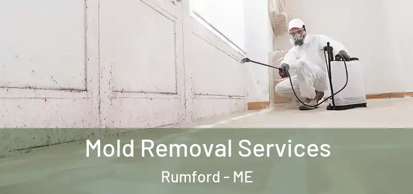 Mold Removal Services Rumford - ME