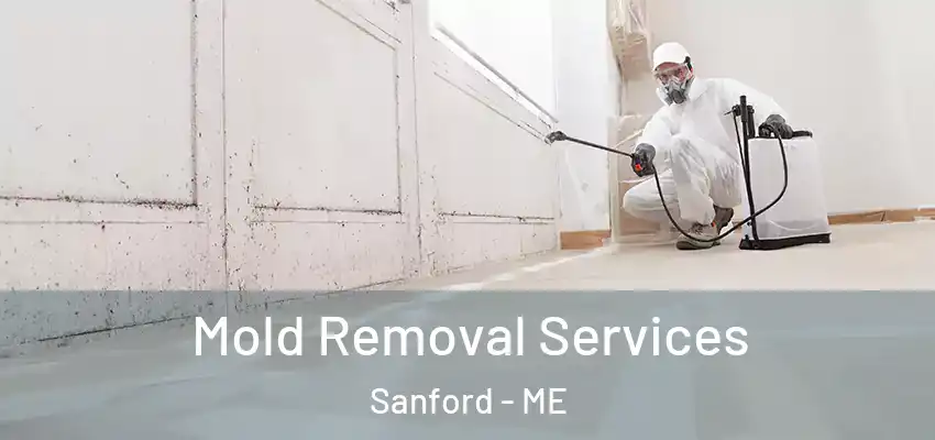  Mold Removal Services Sanford - ME